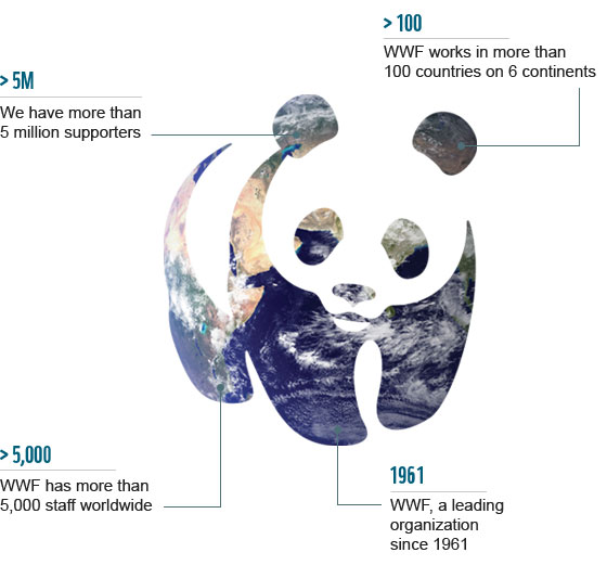 WWF Find your local WWF office