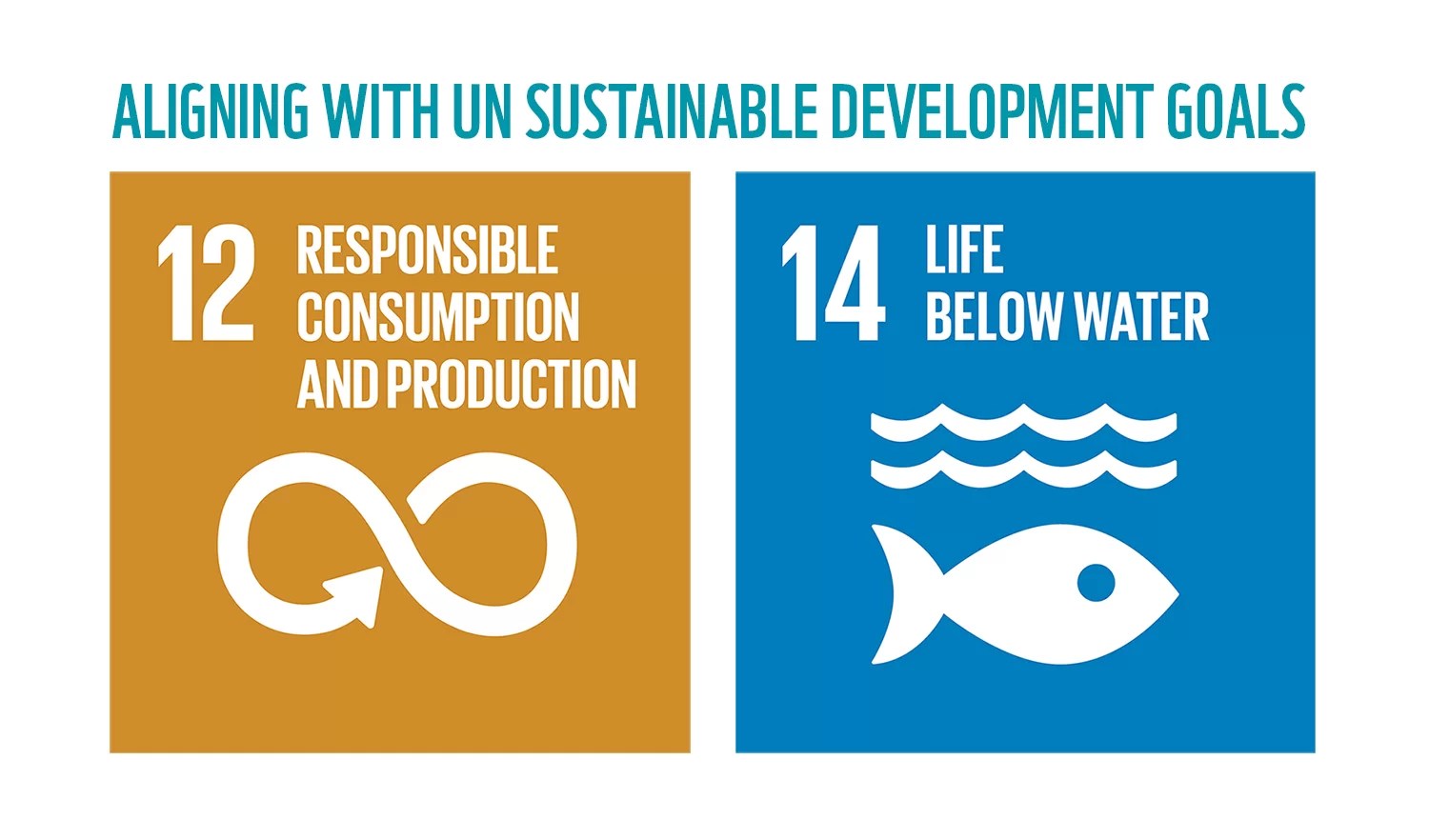 Transforming Seafood Consumption in Singapore WWFSingapore