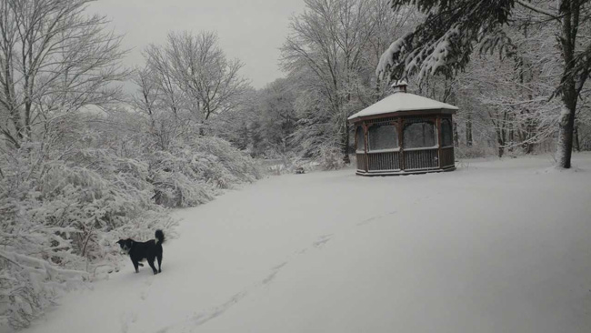 Snowfall totals around western Massachusetts