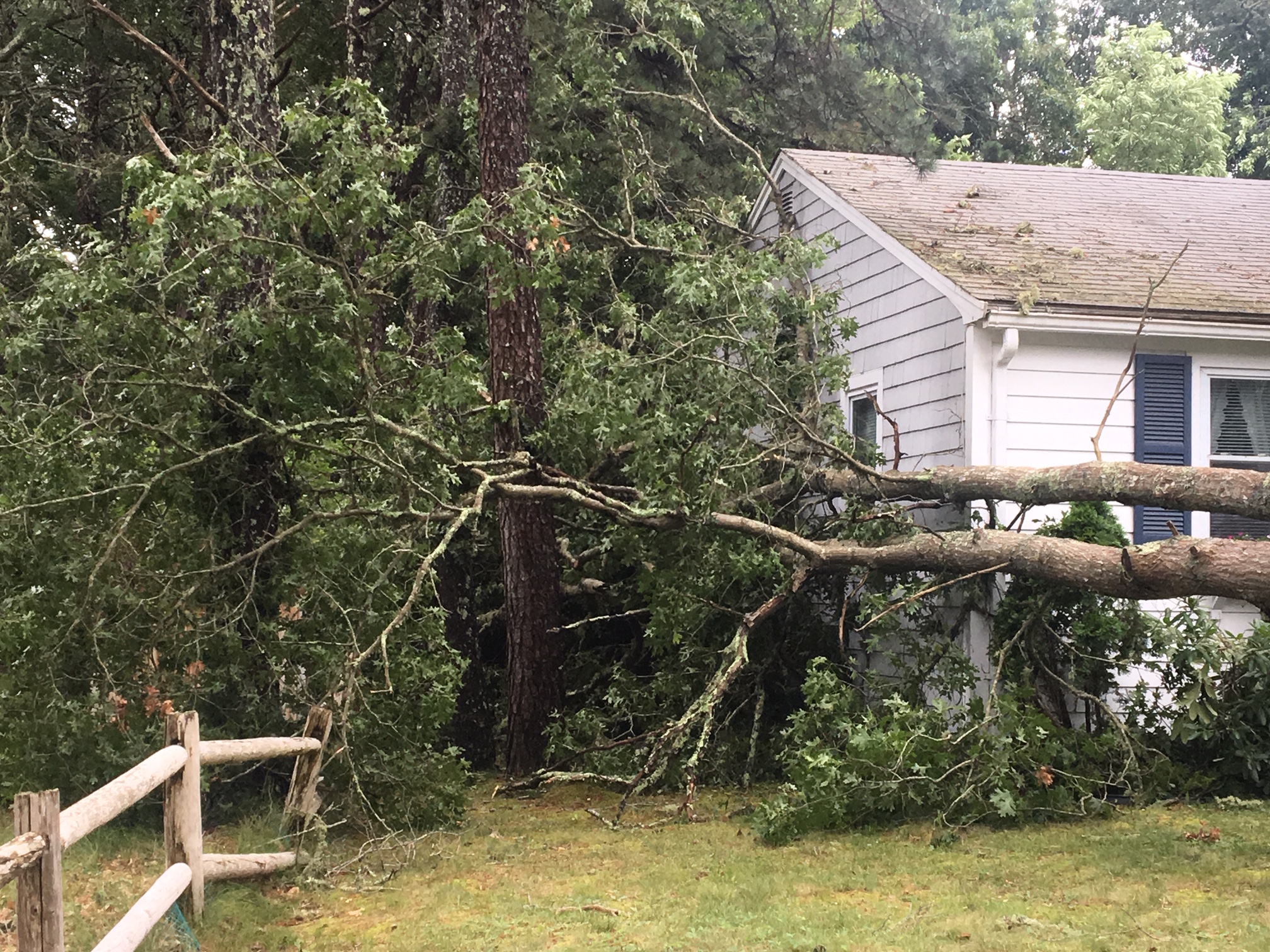 Photos Tornado touched down on Cape Cod WWLP