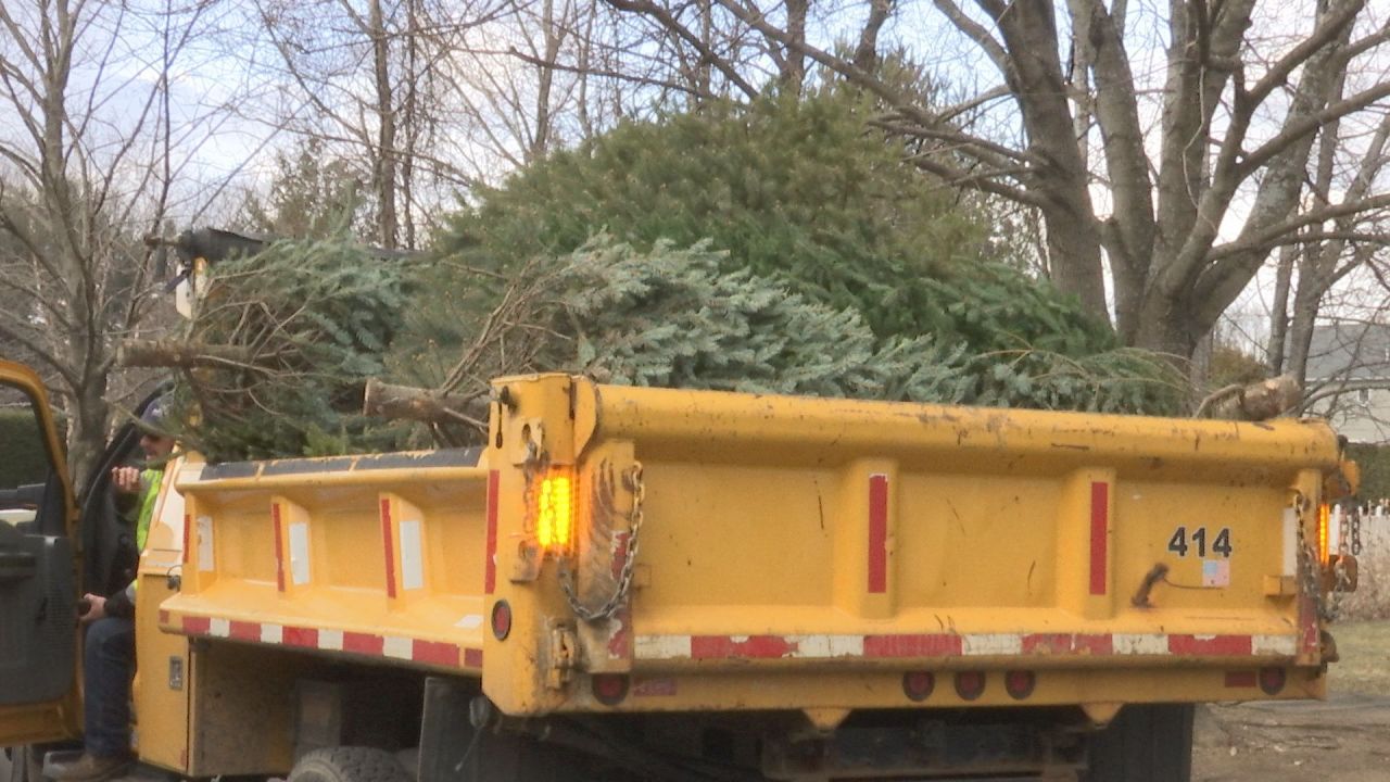 Pittsfield announces Christmas tree pickup schedule WWLP