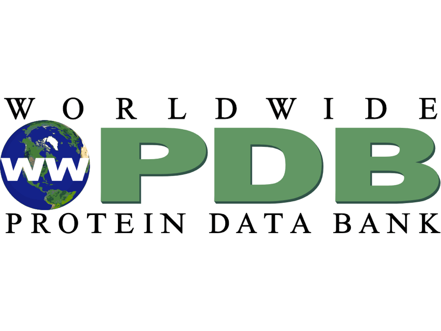 News Protein Data Bank Japan