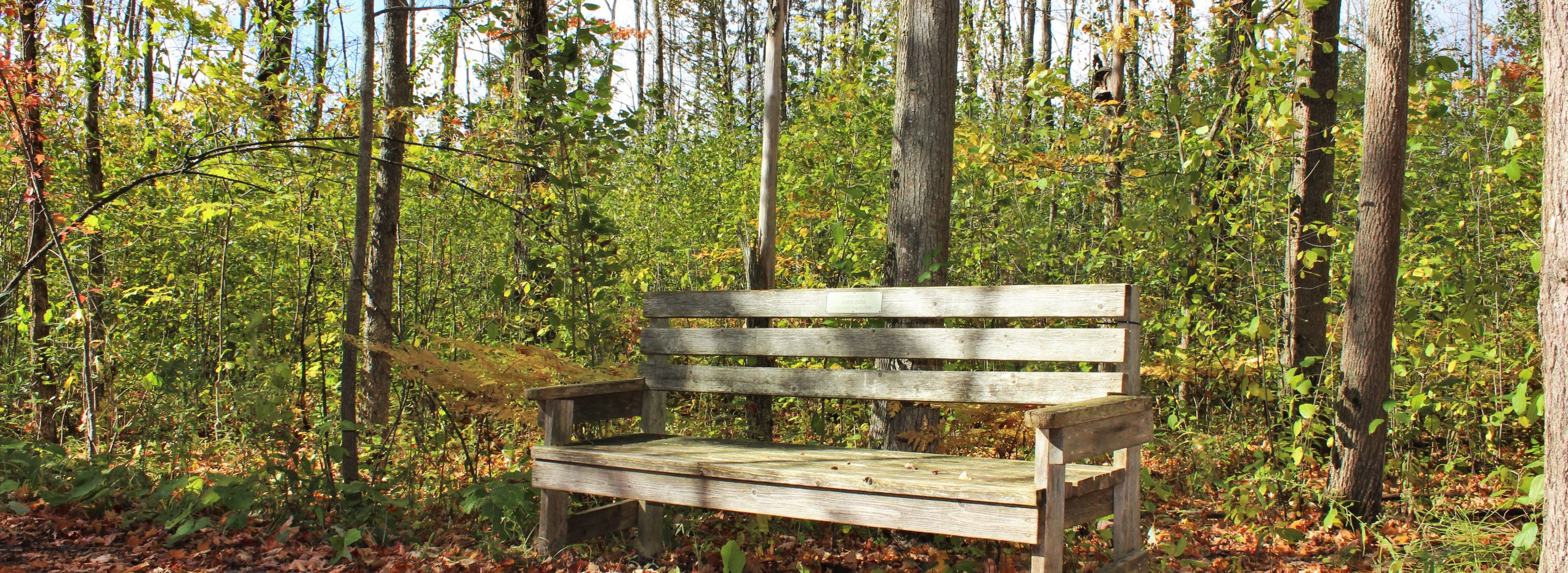 Adopt a Wye Marsh Bench