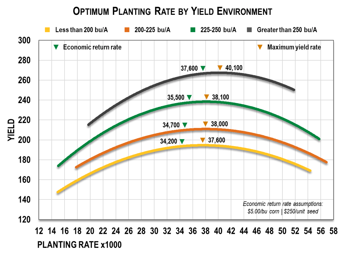 Custom Planting Rates 2024 Siana Dorothea