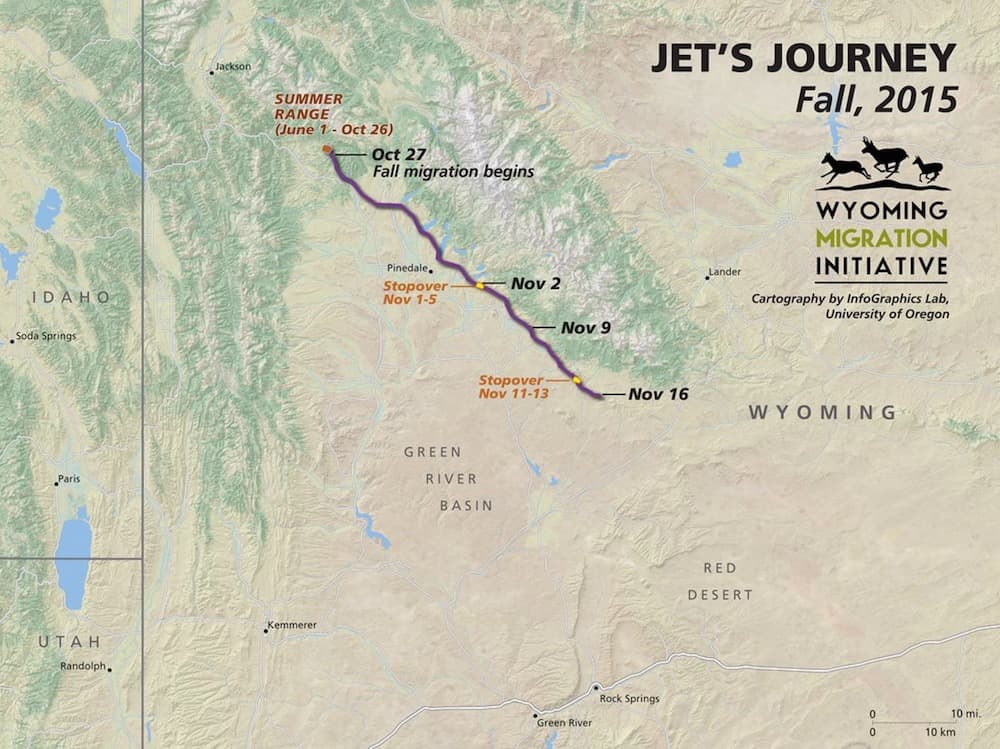 Mule Crossing Wyoming Map Wildlife migration Is there a path to policy? WyoFile