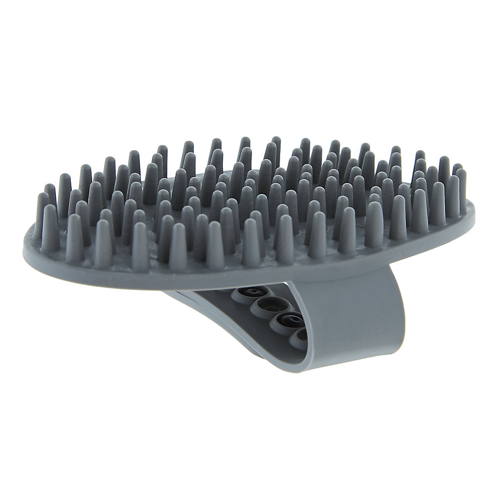 Curry Dog Brush Pet Products Supplier from China