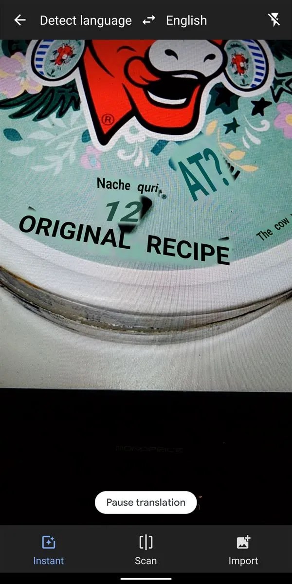 Google Translate tests automatic language detection in the camera mode