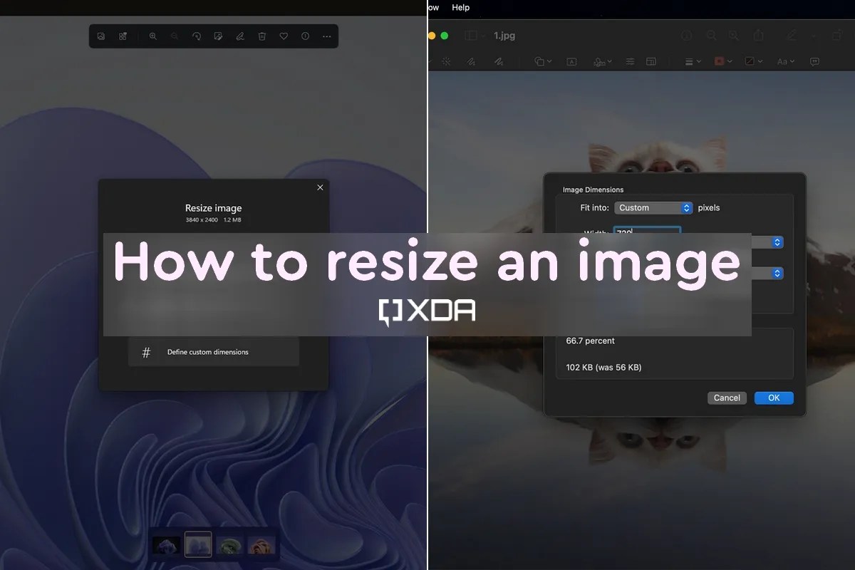 How to Resize an Image on Your Windows or Mac PC Keyclone