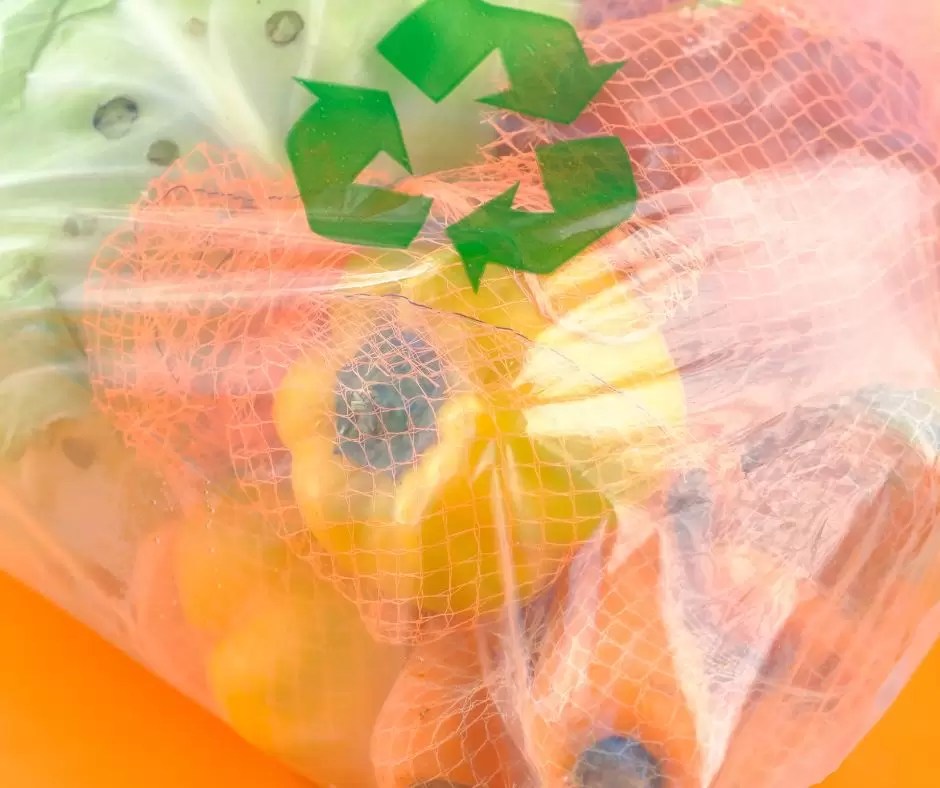 Recyclable Food Packaging Xenos Packaging