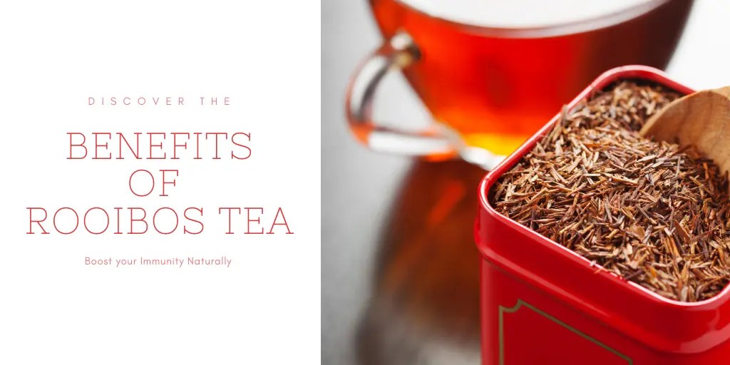 What You Need to Know About Rooibos Tea Benefits