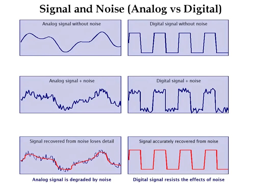 Analog vs IP Cameras Which one should you buy?