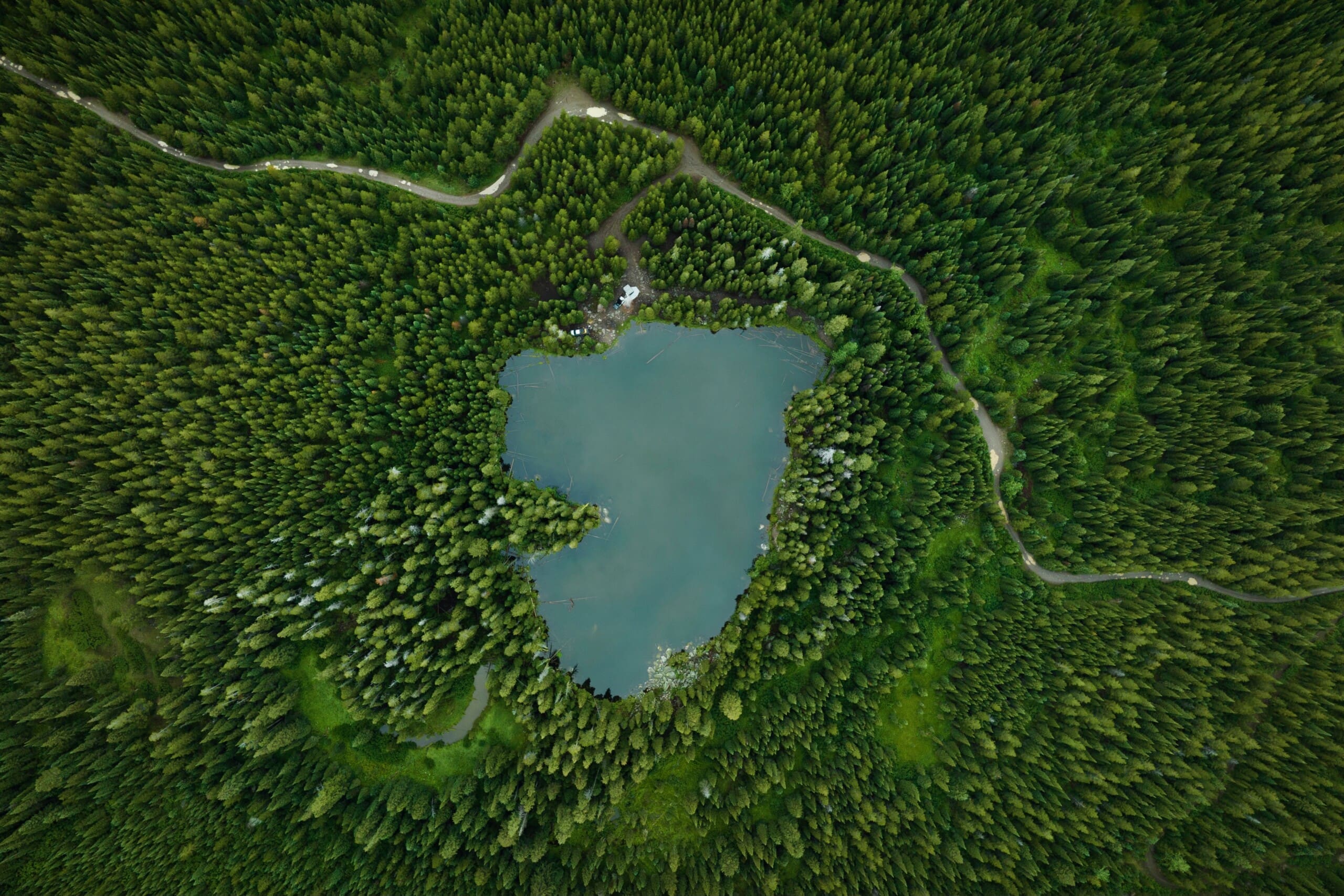 EP73 Is Wild Camping Legal? Overlanding & Recreating on BLM (Bureau of Land Management) Lands