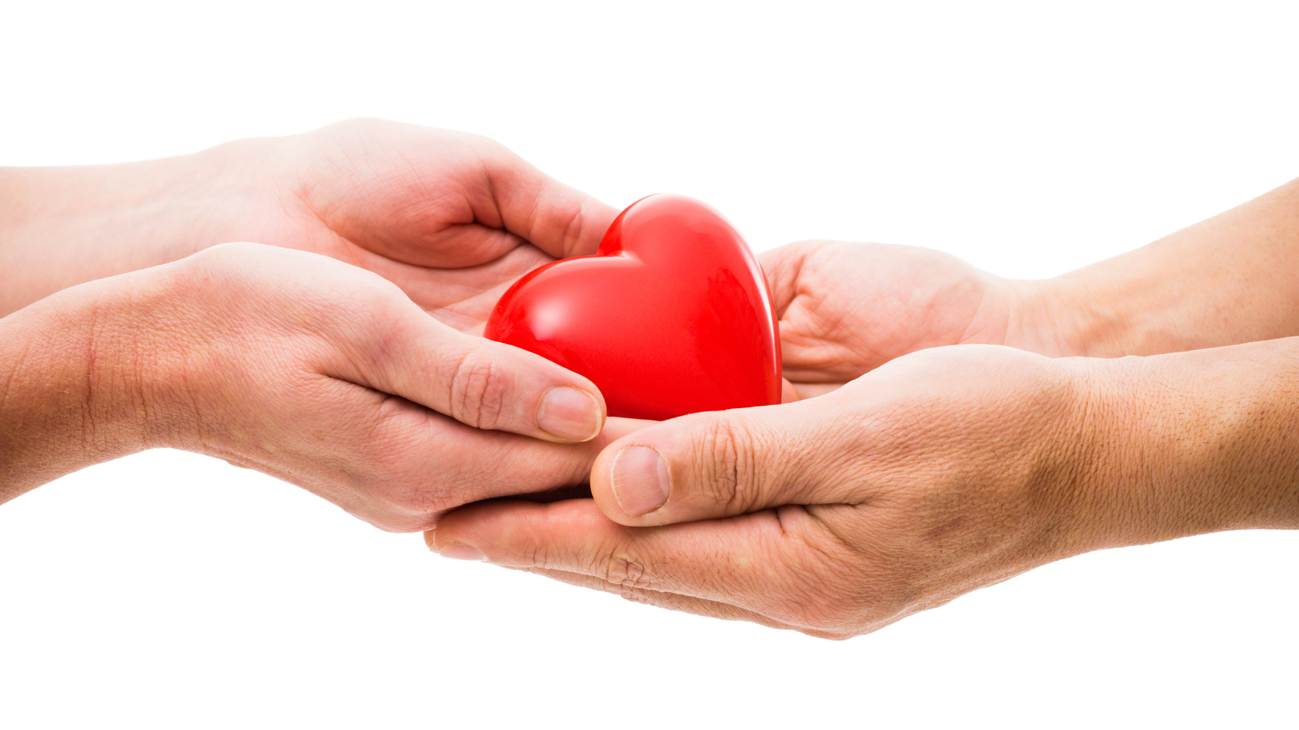 Belgium scores high for organ donation The Bulletin