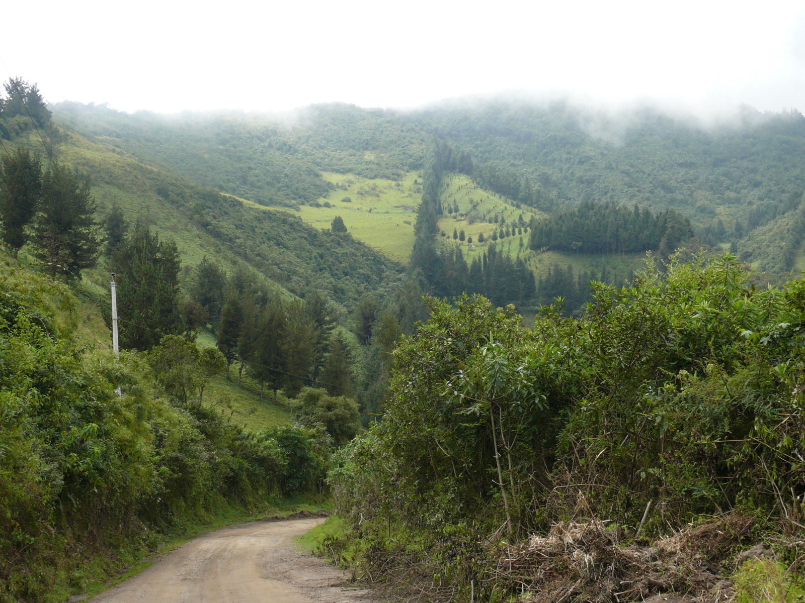 Cloud Forest Cloud Forest Of Ecuador