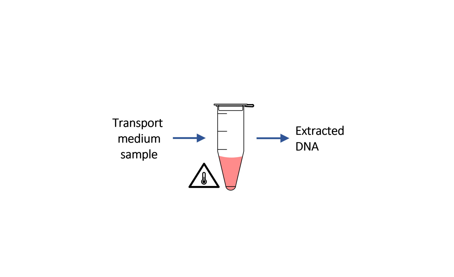 SwiftX™ Media RNA/DNA extraction from VTM, UTM, eSwab