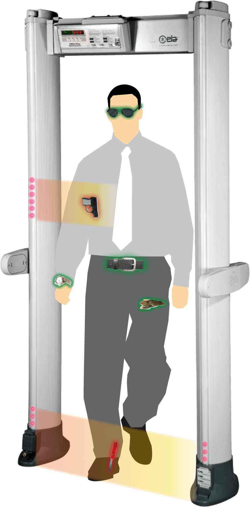 PMD2 Plus XRay Imaging Inc.