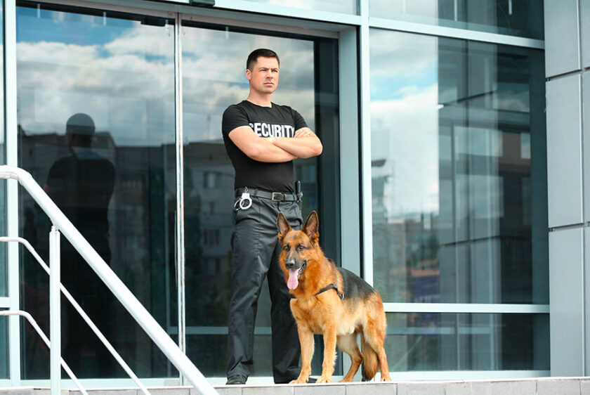 K9 Security Security Guard Dogs XRM Security