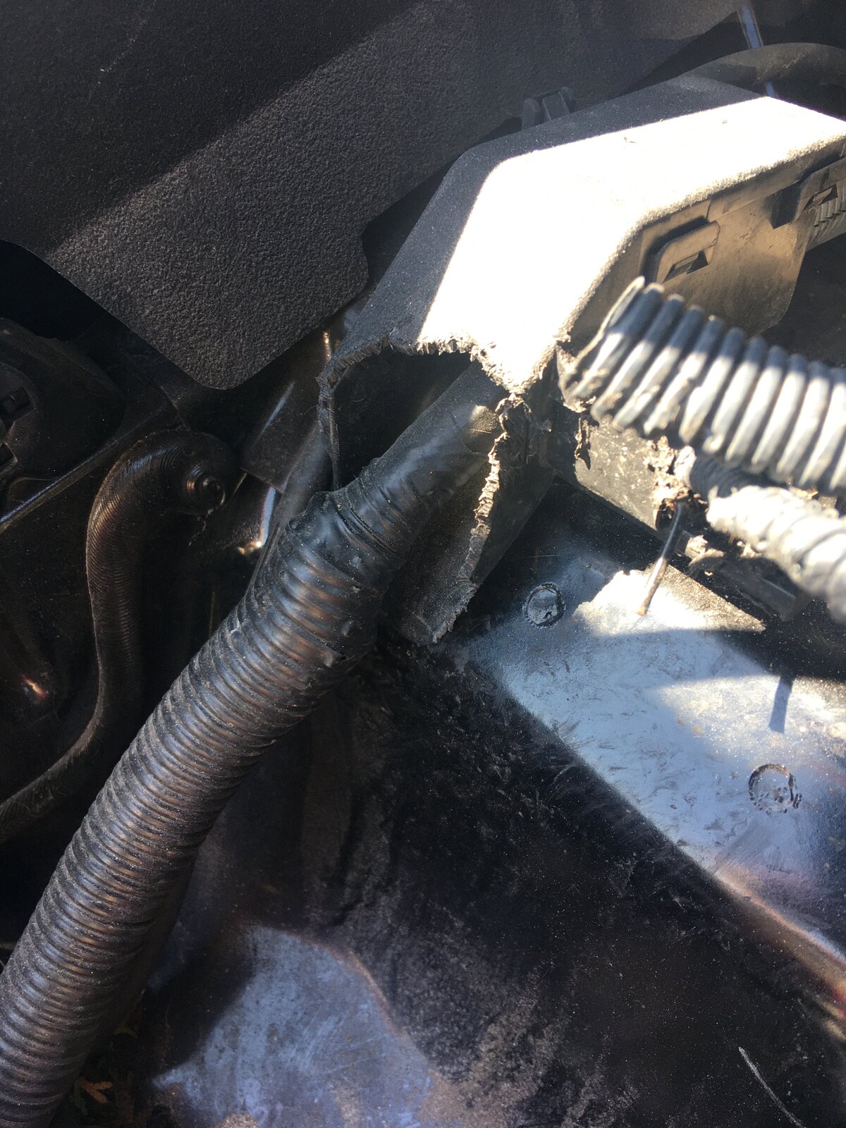 WTF pictures Page 15 Yamaha XS650 Forum