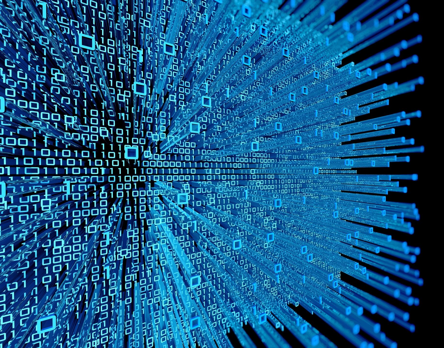 How to Flush DNS and Reset Your IP Address Xcellerated Solutions