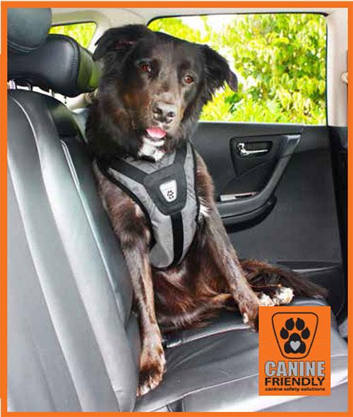 Canine Friendly Crash Tested Car Harness Xtra Dog Soft, Fleece Dog
