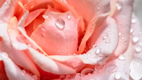 Onlyfans jadeli rosa colita hebtai - Fondos de pantalla HD 4k