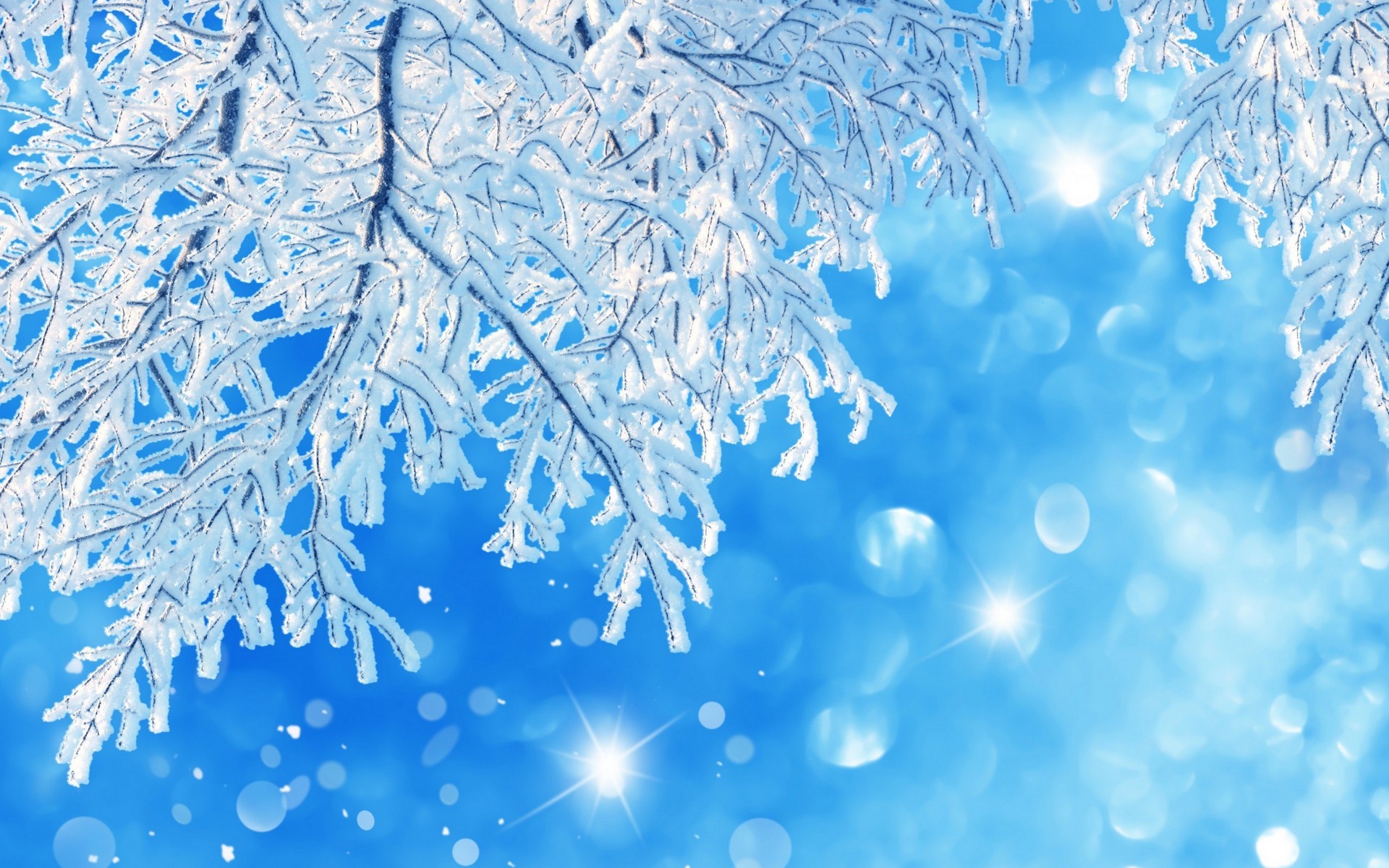Copos de nieve Fondo de pantalla Full HD ID451
