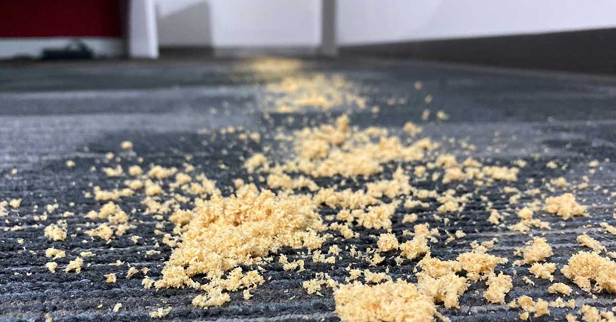 Chattanooga Area Rug Cleaners Xtrax Dry Carpet Cleaning