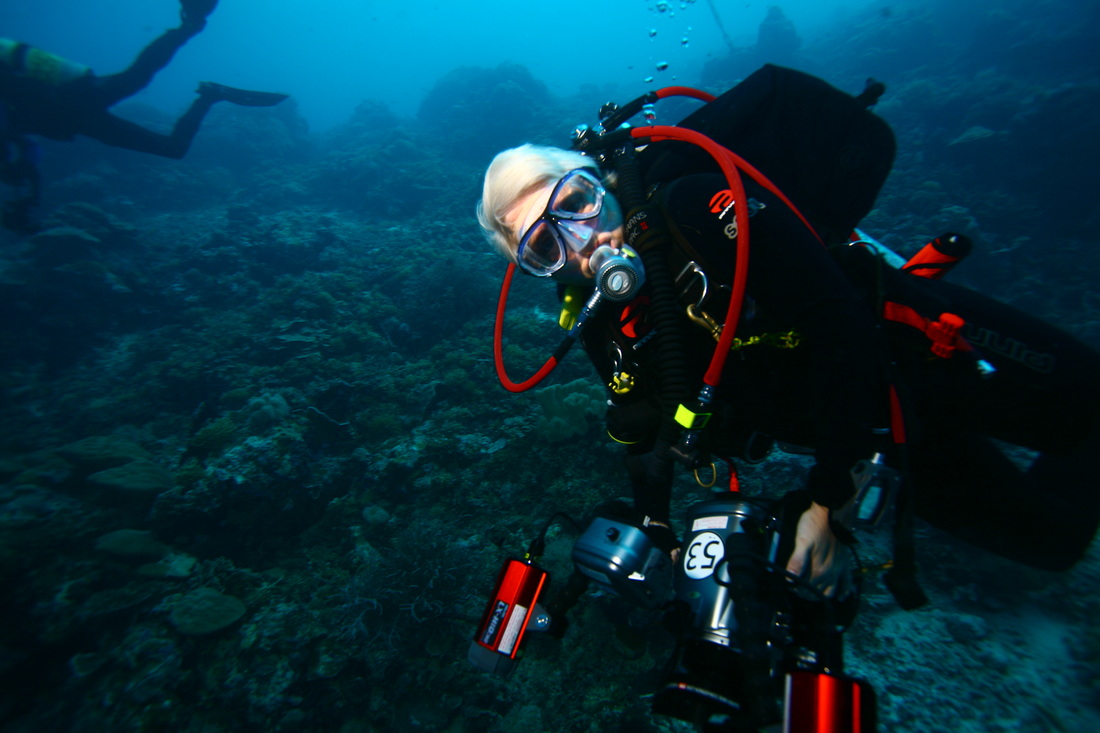 Scuba Diving MacIntyre Wreck Wardang Island South Australia Australia