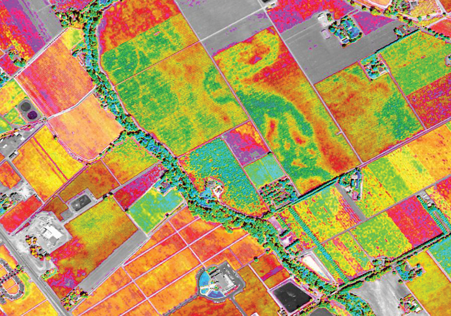 Satellite Imagery for Precision Agriculture xyHt