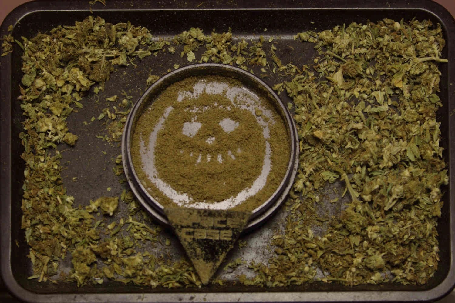 ¿Qué es el Kief y por qué se le conoce como el cristal de la cannabis?