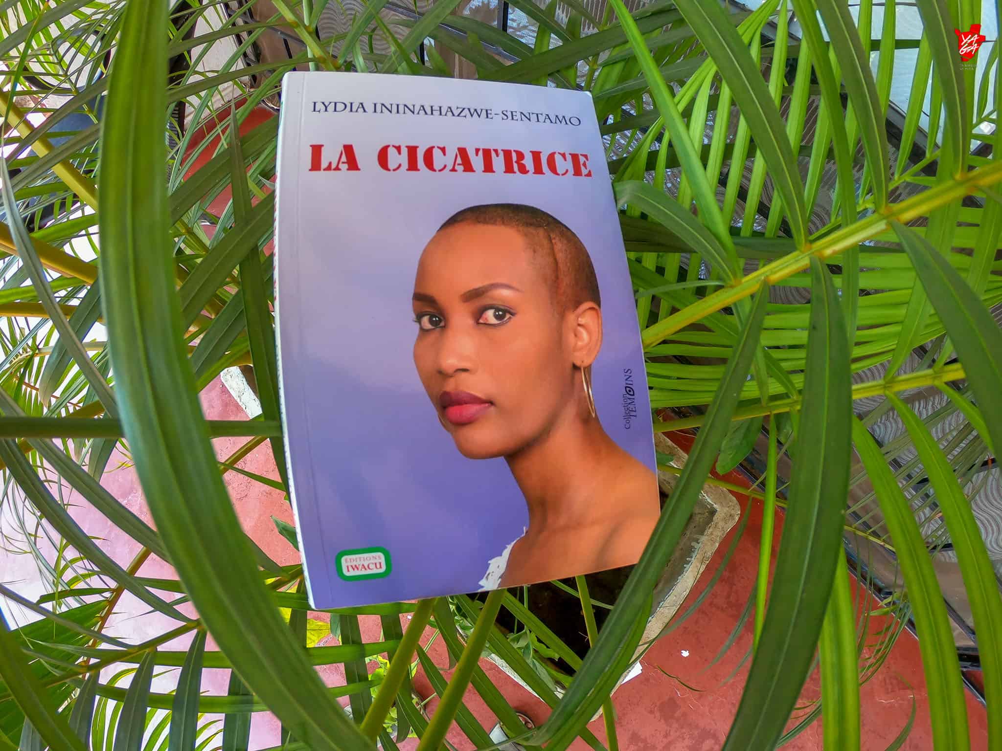 « La cicatrice », une histoire pour l’Histoire