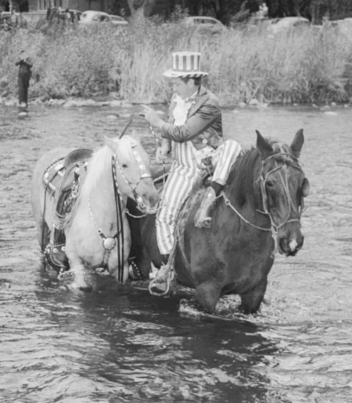 Yahtzee Meaning Slang, Jargon, & Terminology