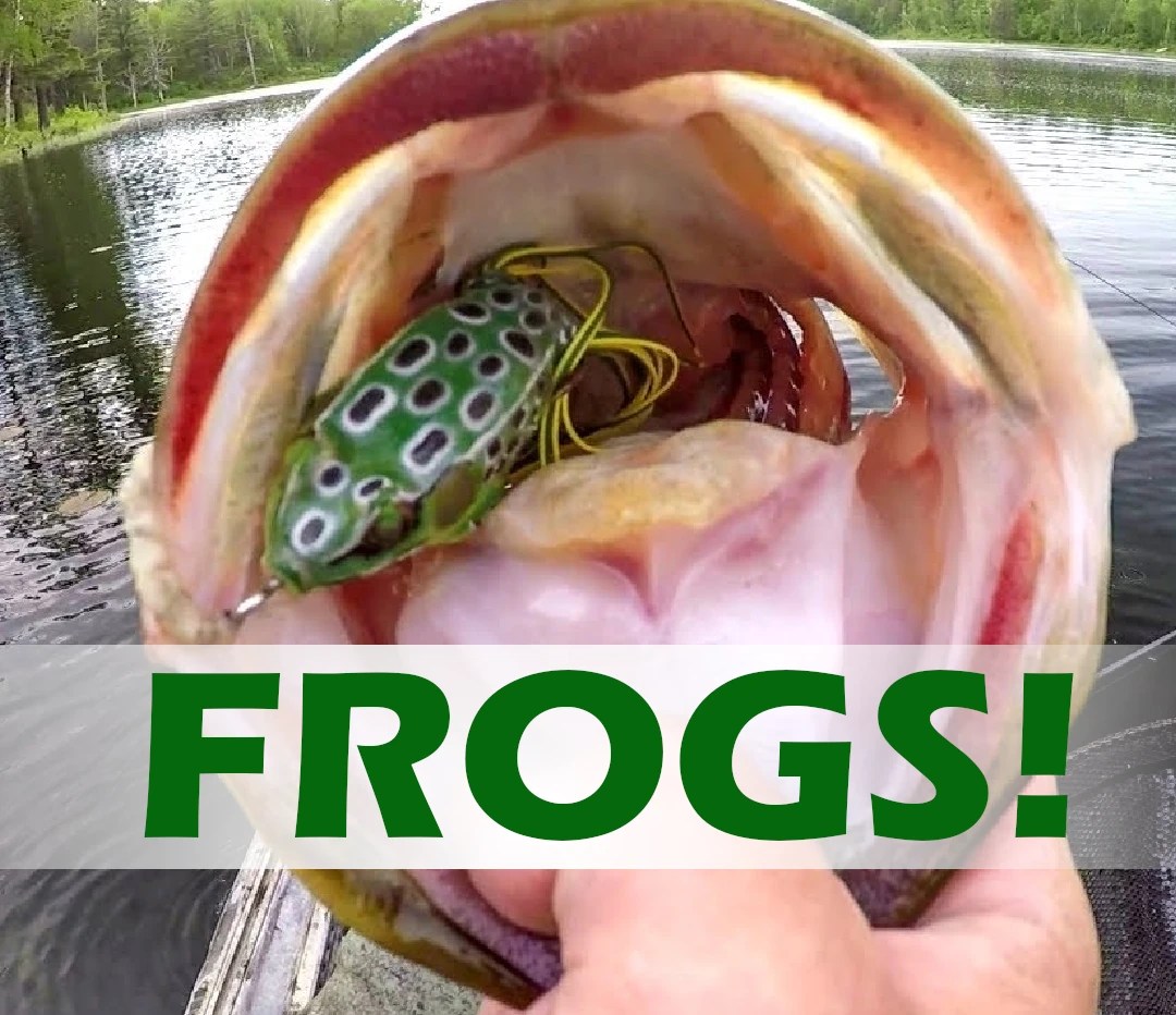 Choose the Right Soft Plastic Frog for Fishing Tips and Techniques