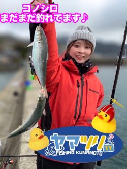 アヒル使いまりん🐳のコノシロ釣り♪ヤマツリＴＶ👀