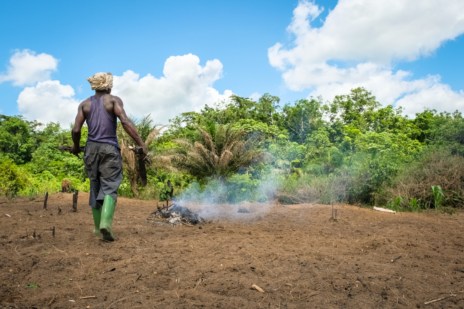 Shifting cultivation Yangambi