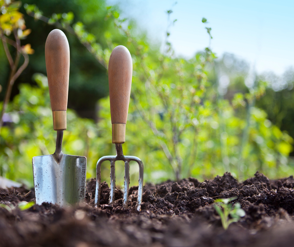 Top Gardening Challenges Yard2Kitchen
