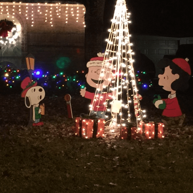 Yard Art & Lawn Decorations Houston, TX