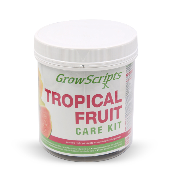 1 Year Tropical Tree For All Fruit Trees Other Than Citrus or Avocado