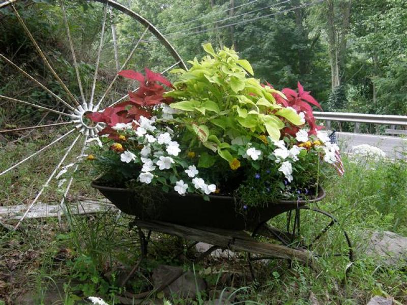 33 Wheelbarrow Planter Ideas for Your Garden Garden Lovers Club