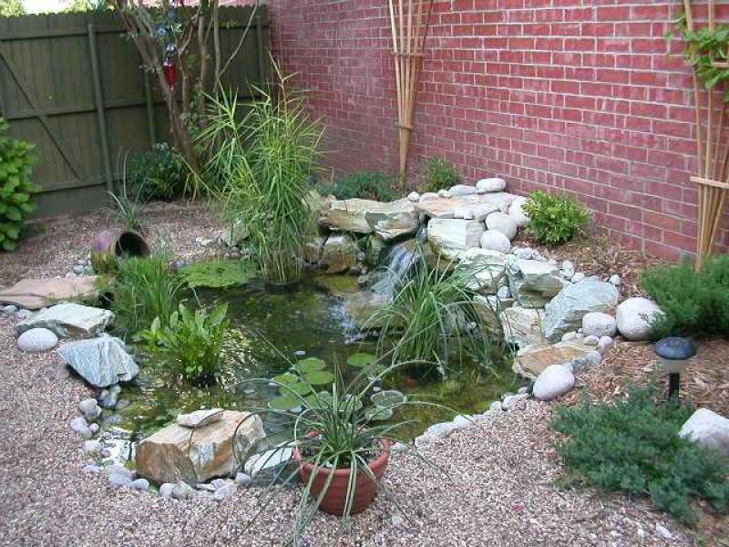 Garden Pond Ideas Pictures Vertical Home Garden