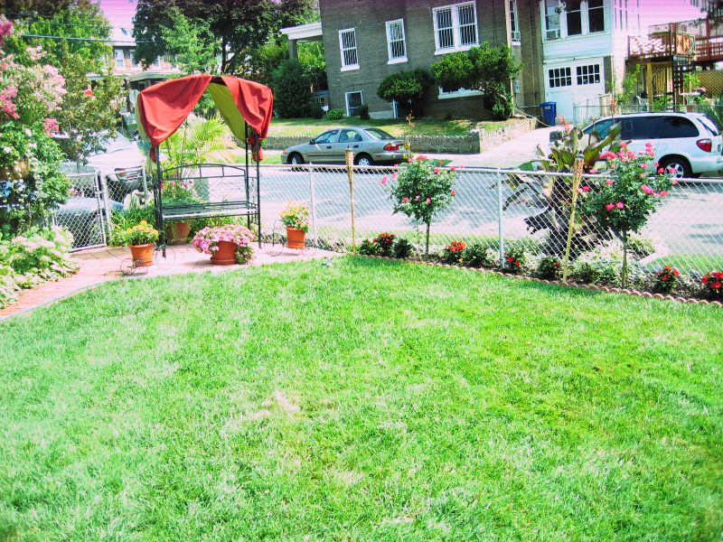 Landscaping Ideas Along A Chain Link Fence Gardens, A Well And Posts