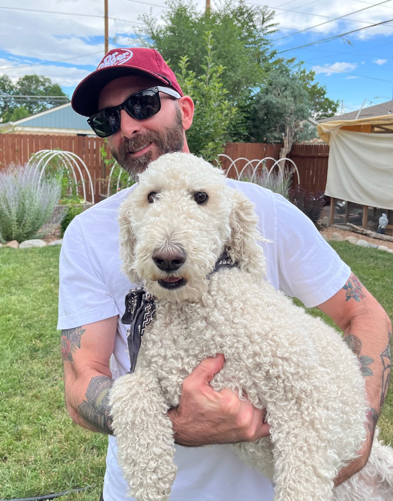 Dog Walkers Denver, Pet Sitters Denver YBFF Pet Care