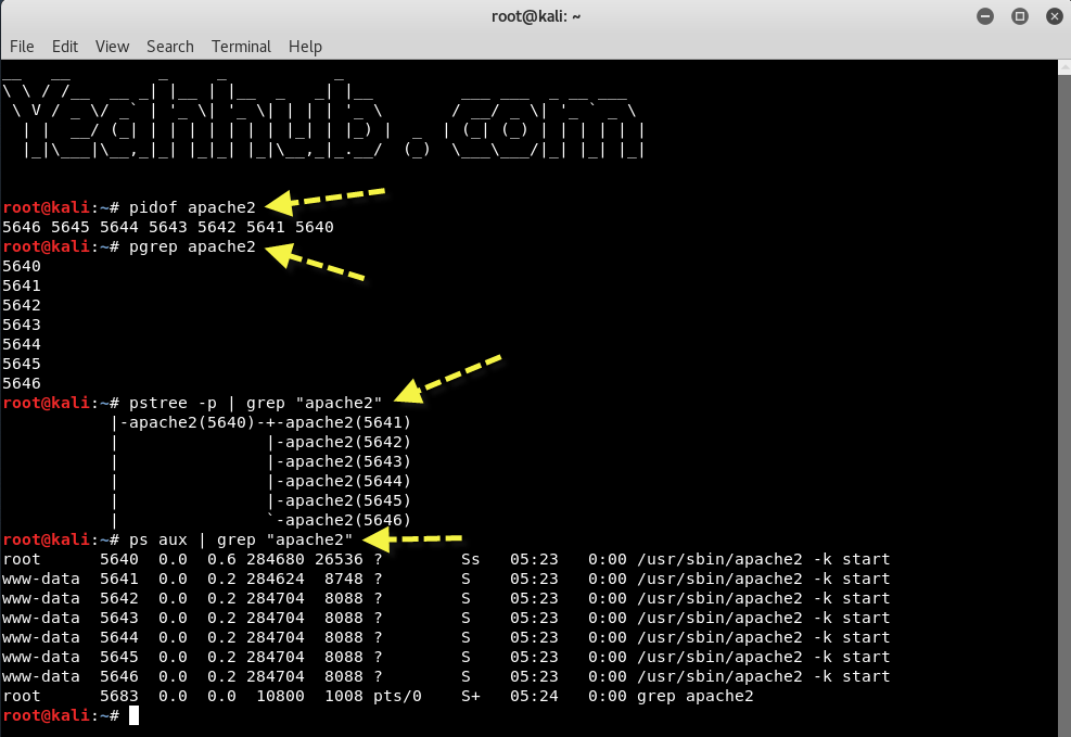 How to use kill, pkill and killall Commands to Kill any Linux Process