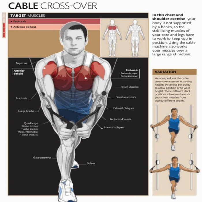 Cable CrossOver Healthy Fitness Chest Workout Plan Routine Abs Yeah