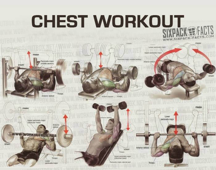 THE BEST CHEST WORKOUT PLAN Healthy Fitness Training Routine Yeah