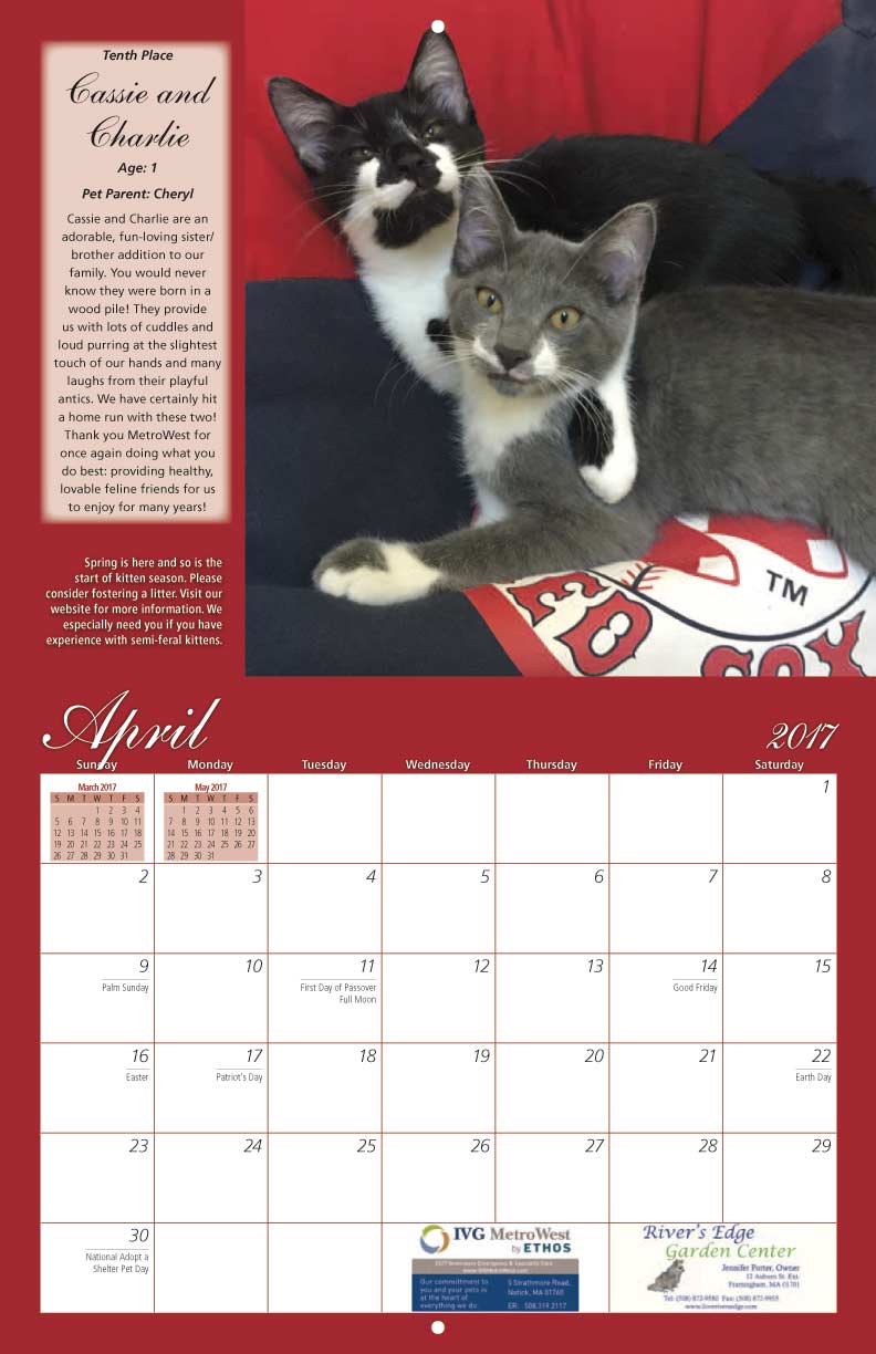 MetroWest Humane Society 2017 Calendar Fundraising