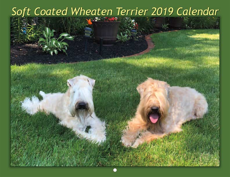 SCWTCA 2019 Calendar Payment Fundraising