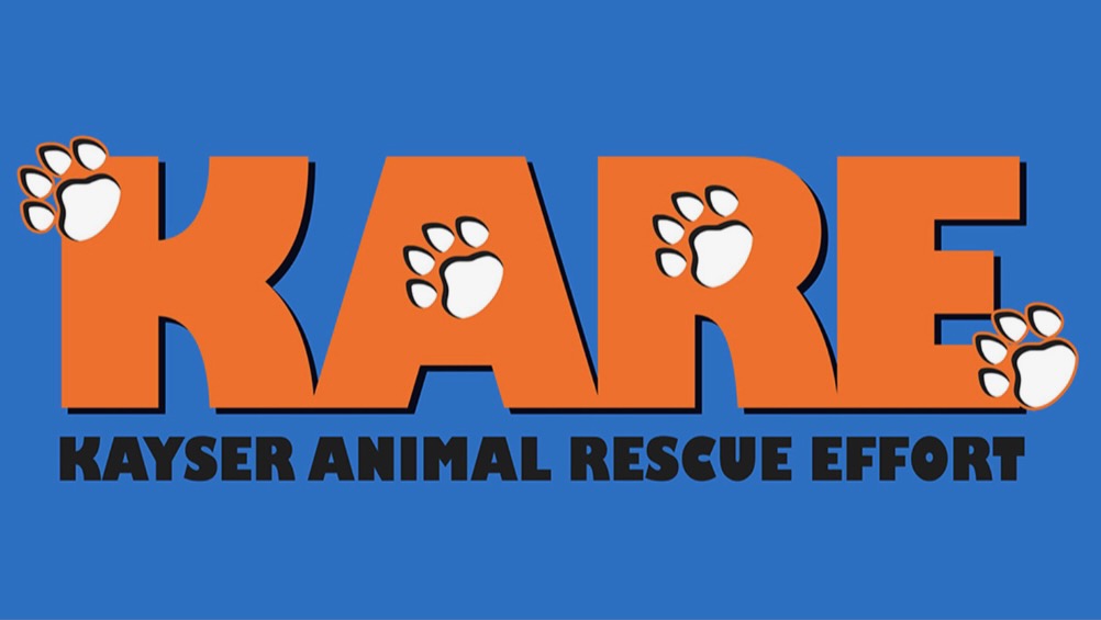 KARE 2025 Calendar Yearbox Calendars KARE 2025 Calendar Yearbox Calendars