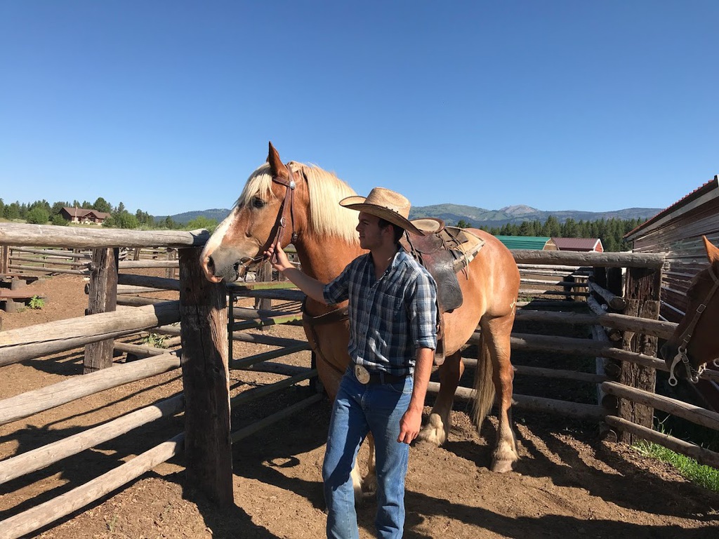 Yellowstone Horses check out the great pictures of the ranch and horses