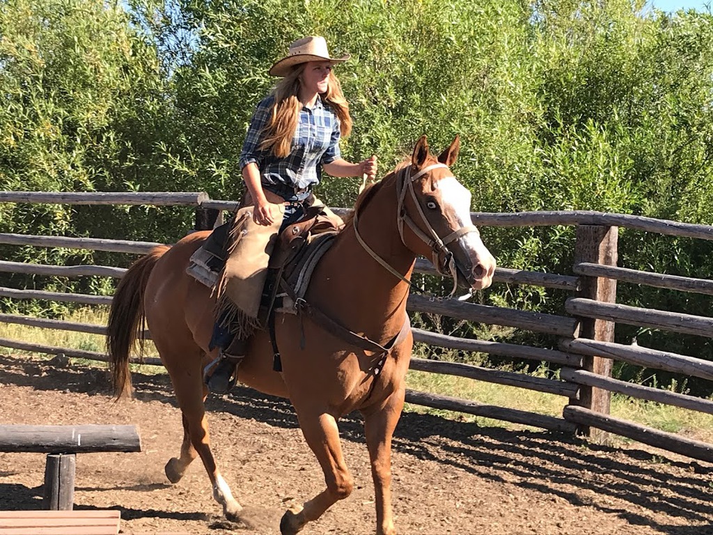 Yellowstone Horses check out the great pictures of the ranch and horses